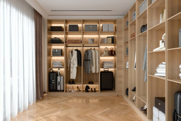 Modern Walk In Closet Closet Storage Customizing